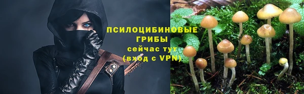 не бодяженный Абаза