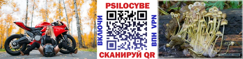 Галлюциногенные грибы мухоморы купить наркотик Грозный